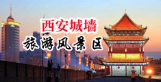 大黄爽片中国陕西-西安城墙旅游风景区